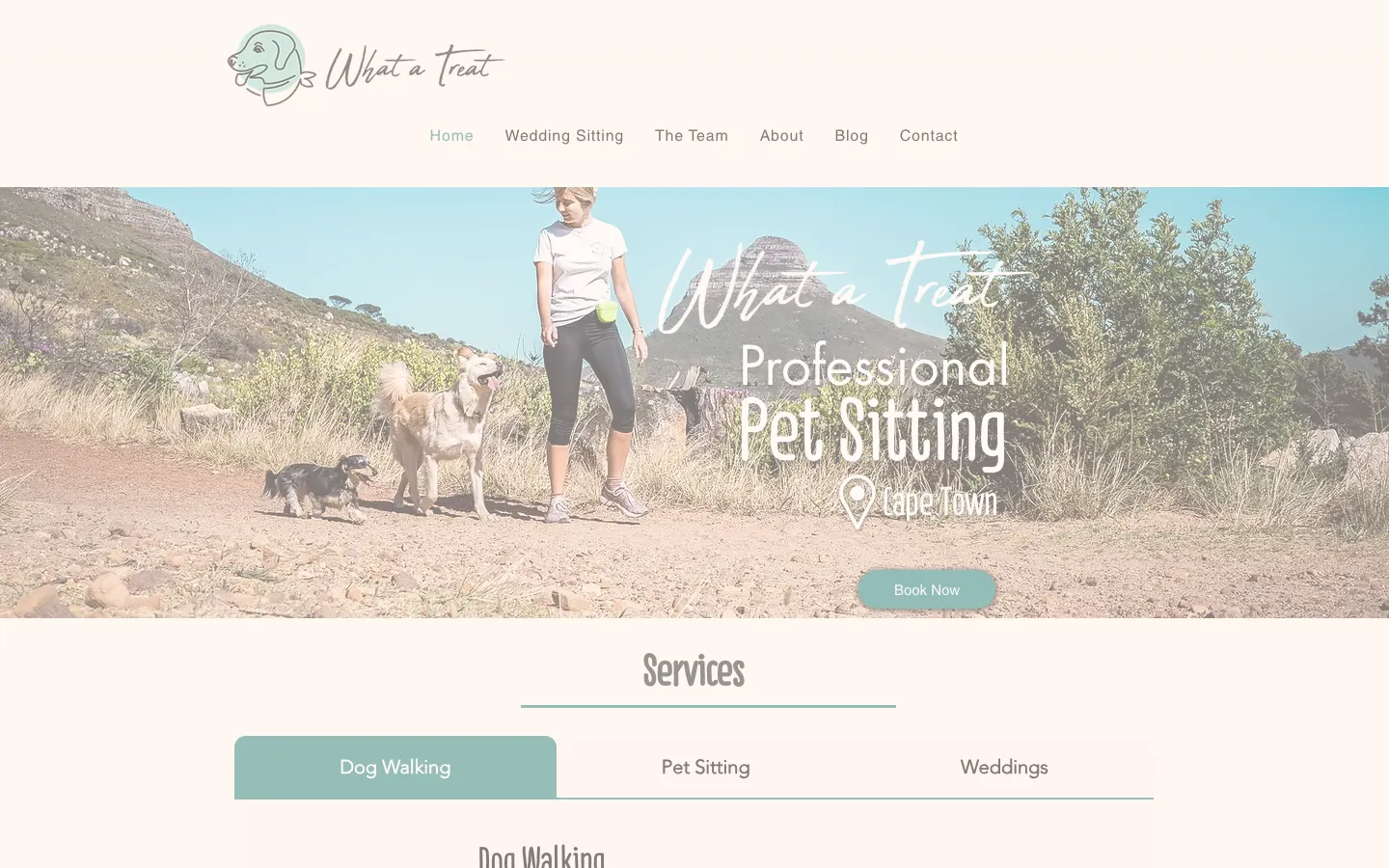 whatatreatpets.com, a dog walking and pet sitting hero on a Cape Town mountain trail